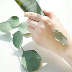 Mugwort Calming Clay Mask 100ml - Isntree