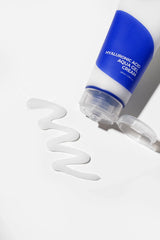 Hyaluronic Acid Moist Cream 100ml - Isntree