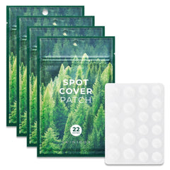 Skin 1004 Spot Cover Patch 22 Patches