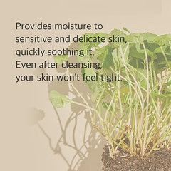 Centella Cleansing Foam 150 ml - MIXSOON