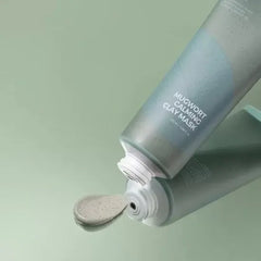 Mugwort Calming Clay Mask 100ml - Isntree