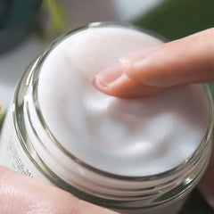 Calming Moisture Barrier Cream 50ml - Pyunkang Yul