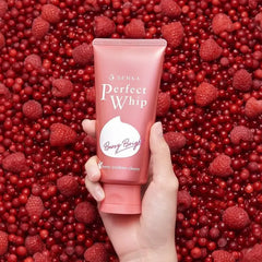 Senka Perfect Whip Collagen In A Beauty Face Foam - Shiseido